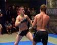 free-fight