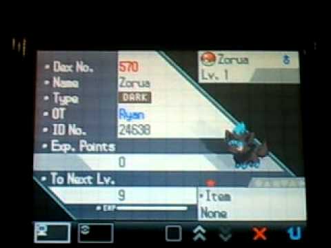 how to train n zorua