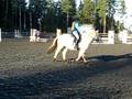videos de Njård first show jumping competition