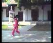 CHINESE kongfu 洪敦品 螳螂拳 武当 少林