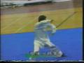 穗港澳功夫群英會 KungFu Gala 1997