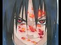 sasuke and naruto animal they\