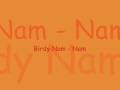 Birdy Nam-Nam / Absesses