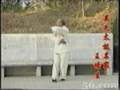 Wang Pei Sheng 37 posture [1/2]