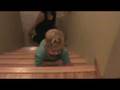 videos de Stair Master Pt. 2