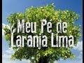 Meu Pé de Laranja Lima