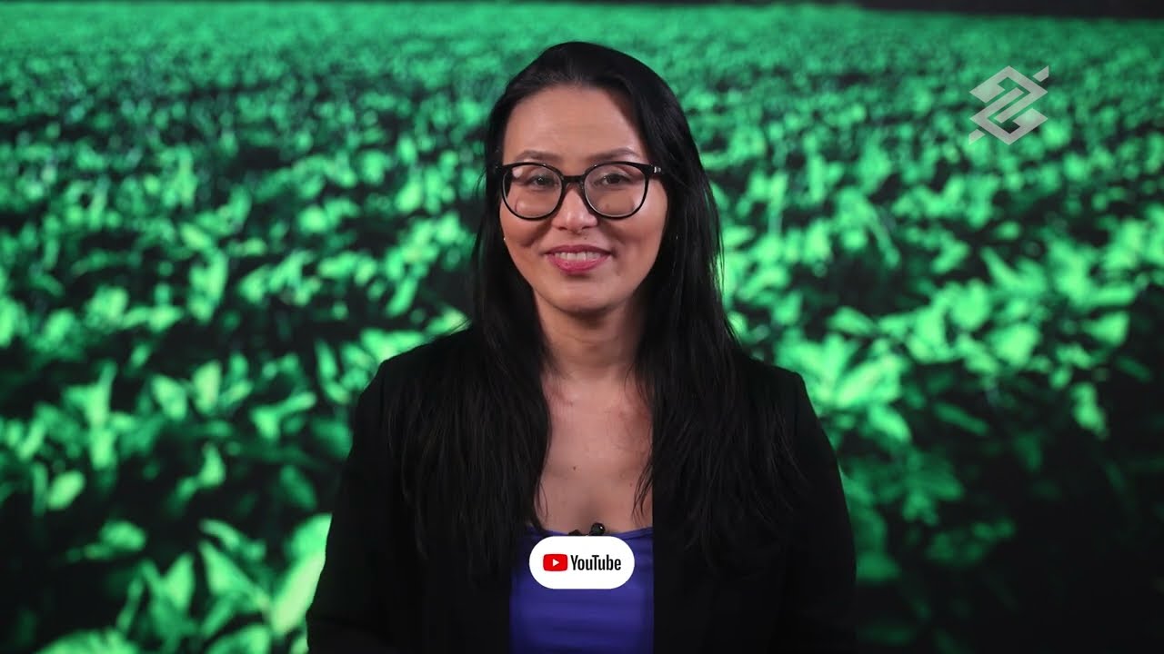 MP 1.376/2026: nova linha para composição de dívidas rurais