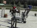 Mistrzostwa Europy Pony 2008