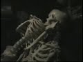 Niswander Short- Fright Manor Haunted House