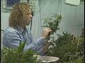 DRUGS DROGEN GROW DRUGS DROGEN GROW