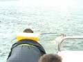 videos de Raystown Lake - 2008-06-16 - Out On The Lake 2