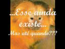 Feira de Ci�ncias Col�gio Dom Belchior - 2� Ano