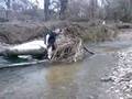 videos de Un dahut à la mer 4/4