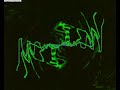 -*Showtek - Raver*- -*Showtek - Raver*-