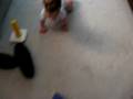 Miriam Crawls!