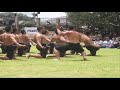 2007 Haka Waiata Massey House 2007 Haka Waiata Massey House