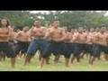 2007 Haka Waiata Massey House