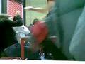 videos de Punch