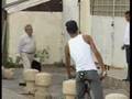 tomer yosef on hot news