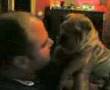 play video