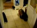 videos de Barabas a Minou II