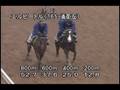 videos de [調教] 081008 エルビートル 「新馬」前追い切り