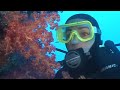 Fiji Coral 12/06