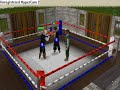 runescape boxing chapion runescape boxing chapion