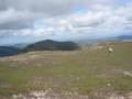 Fairfield Horseshoe Clockwise