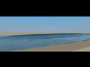 3d Wave