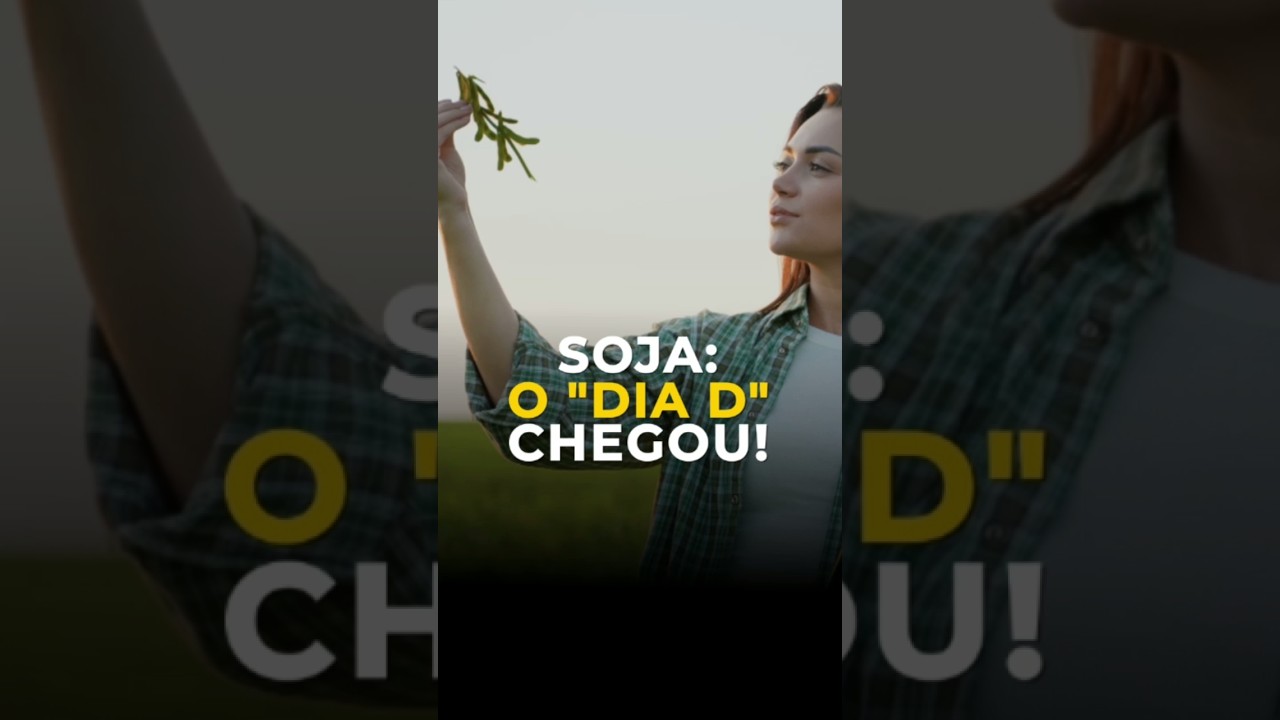 Soja; O "Dia D"... Chegou"