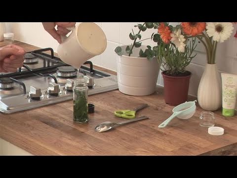 how to collect eucalyptus oil