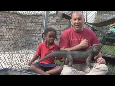 YouTube reptile video