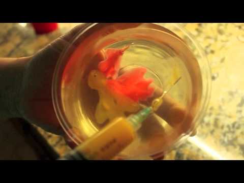 YouTube Preview Image