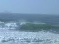 Big ones at Newy