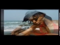 Jamaican Bikini Girls