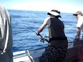 Jigging - Honsu Hookups
