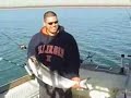 Slippery Fish!