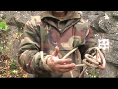 Prohlédnout video