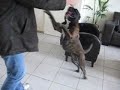 Luna met de Ballon2