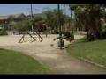 team karnaza - jackass