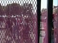 RNC protest 3