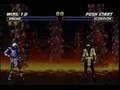 MORTAL KOMBAT / ANIMALITY