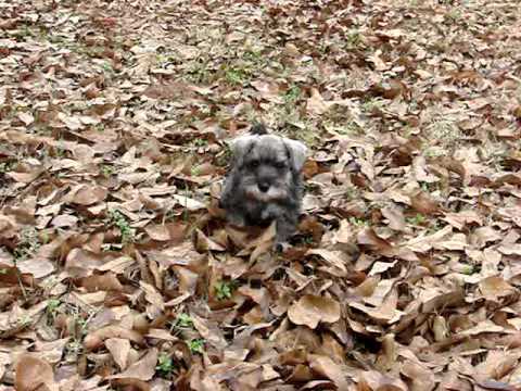 Little Buster Boy Play Time!