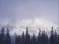 PACKING OUT 3 BULL ELK