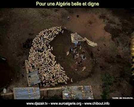 Image de prévisualisation YouTube