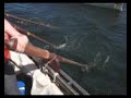 Longboats Racing