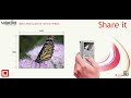 Creative VADO | Pocket Video Cam | Presentation Creative VADO | Pocket Video Cam | Presentation