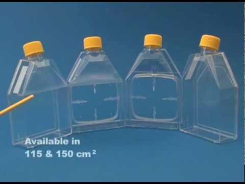 how to get rid of rnase