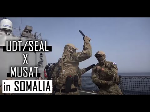 [국방부] ROK UDT/SEAL MUSAT